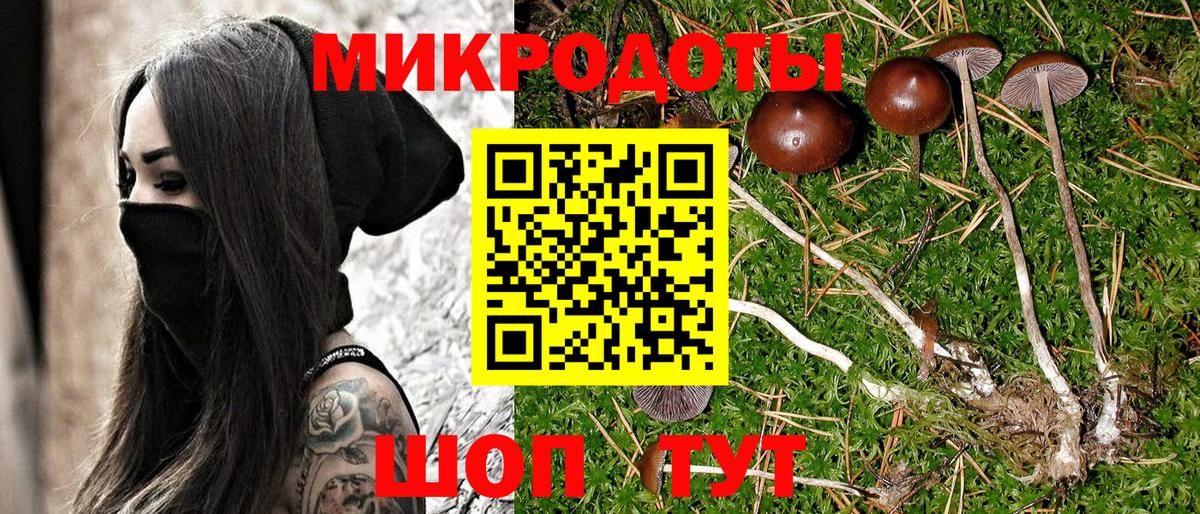 Новороссийск  Псилоцибиновые грибы Psilocybe  Вход с VPN 