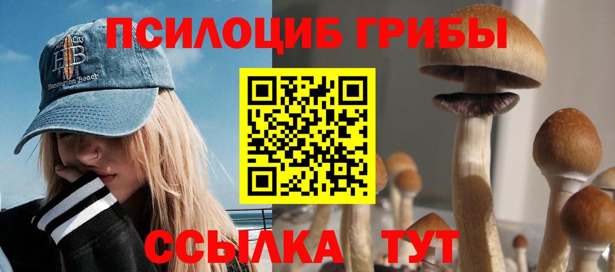 Галлюциногенные грибы мицелий Новороссийск